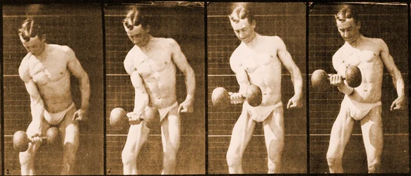 「動物の移動」シリーズ、1887年頃の画像